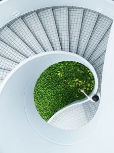 Des plantes et des courbes douces : espace zen et Feng shui