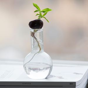 Le printemps symbolisé par l'éclosion d'une plante - Feng shui